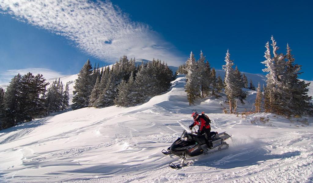 Lily Mountain Lodge - Amazing Mountains Views, Private Hot Tub, Great Location Естес Парк Екстериор снимка